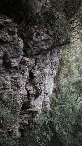 [IMG_2198%255B3%255D.jpg]