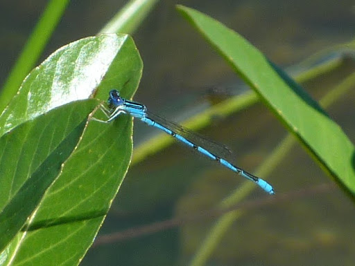 P1150190