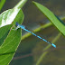 P1150190