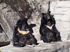 denver_zoo