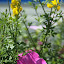 SH_Expo_0050.JPG