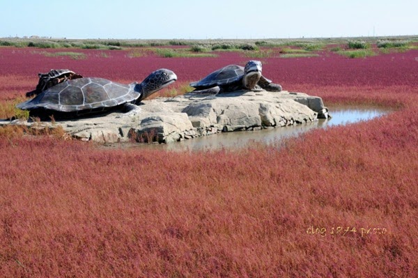 [SYG_4443%255B2%255D.jpg]