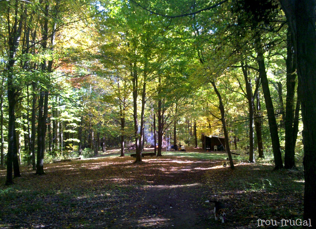 [IMG_20111008_152447-1%255B2%255D.jpg]