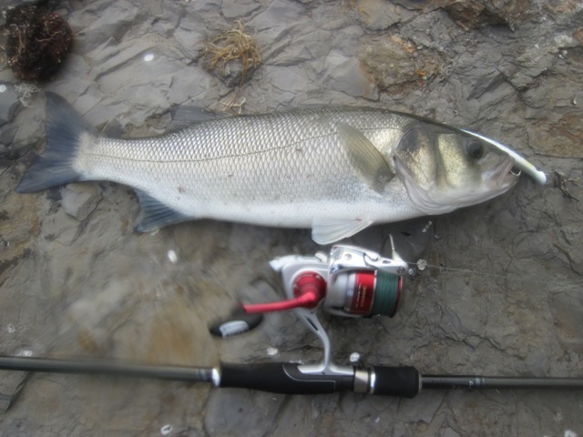 [IMG_0752%255B6%255D.jpg]