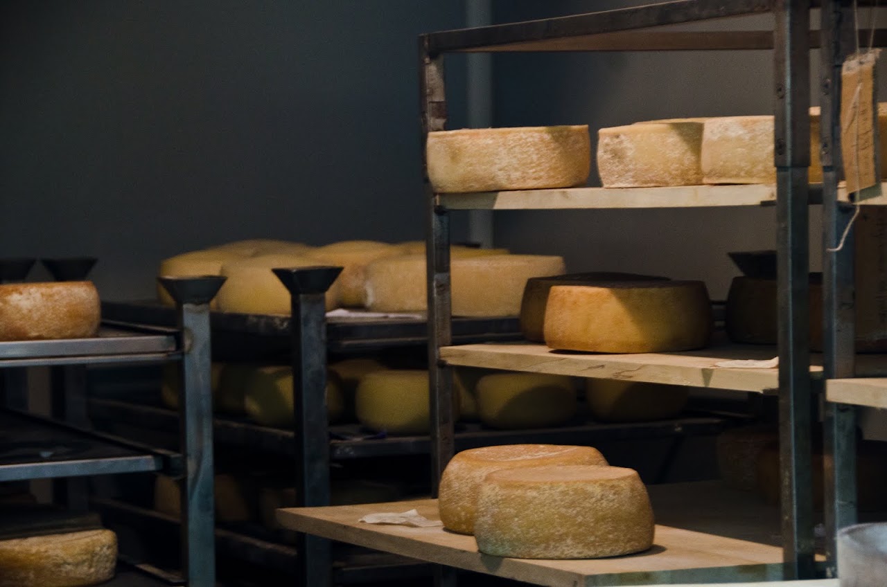 Radicondoli cheese making