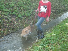 Gory (9) Gory (9)