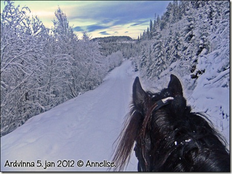 2012-ardvinna5jan_02