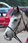 DSC_0275.JPG
