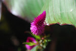 DSC_8542.jpg