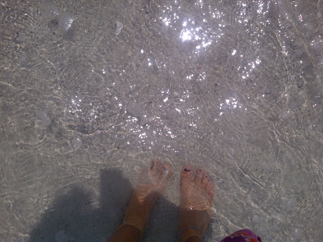 [IMG20110611007483.jpg]