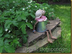 IMG_0401 IMG_0401