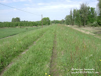 dsc06569.jpg