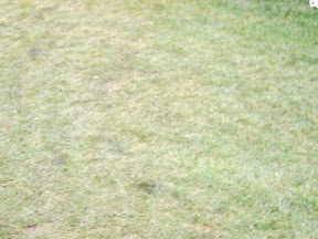 IMG00092.JPG