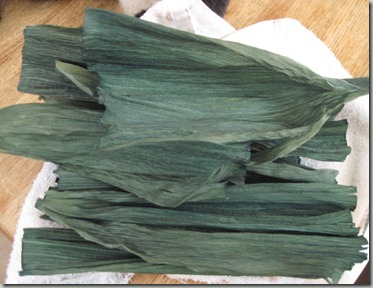 bamboo 004