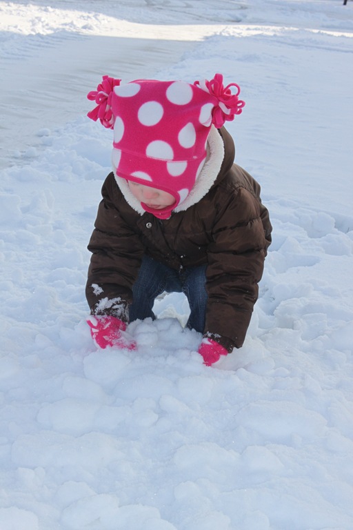 [2012-01-24%2520First%2520Snow%252029%255B4%255D.jpg]