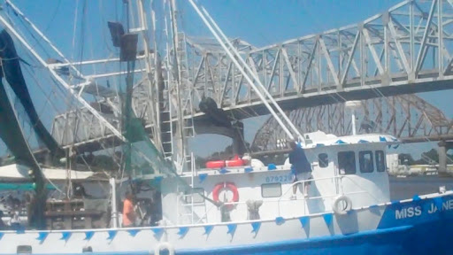 Miss Jane shrimper