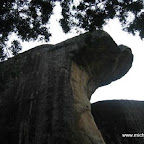l012.jpg