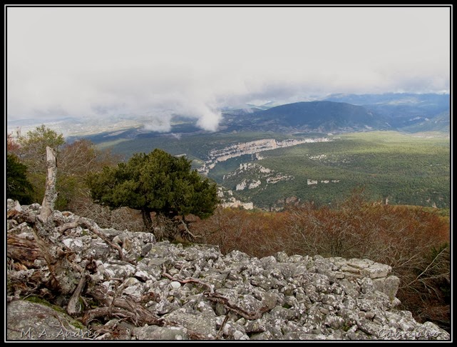 Arangoiti-Castellar 041