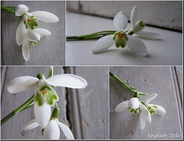 Blogfoto's 145