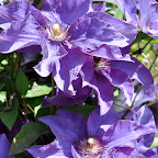 DSC_9473.jpg