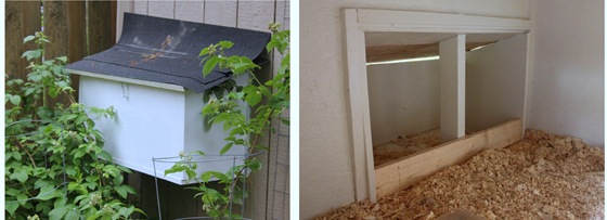 chicken-nesting-box chicken-nesting-box