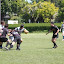 IMG_1032-20110521.JPG