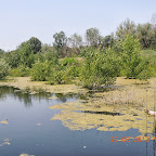DSCN8335.JPG