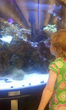 2011-05-31 13.34.25.jpg