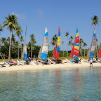 DSC05378.JPG