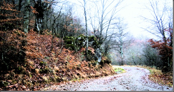 Otoño Otoño
