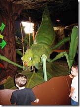 IMG_3954 IMG_3954