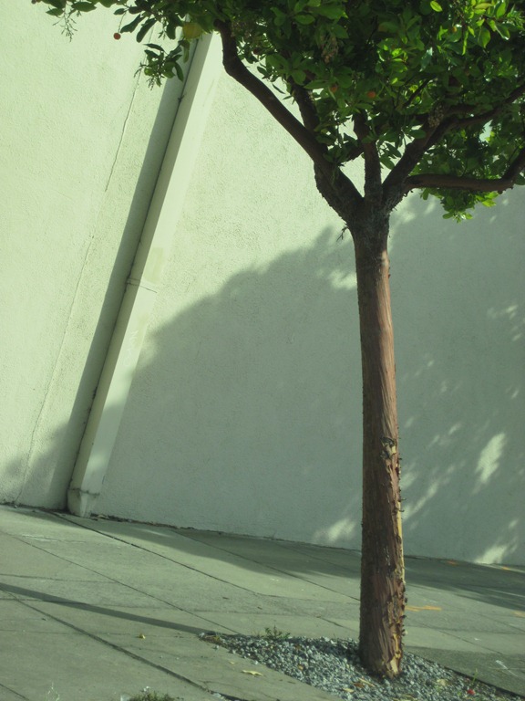 [IMG_0726%255B5%255D.jpg]