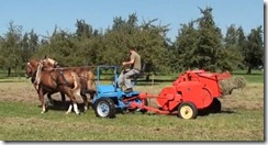 tracteur chevaux
