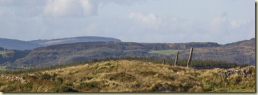 10.Castletownshend - Three Fingers 10.Castletownshend - Three Fingers