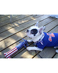Supervise pooches in area dog parks as there might be debris from fireworks or even unexploded fireworks that they could risk getting into. Supervise pooches in area dog parks as there might be debris from fireworks or even unexploded fireworks that they could risk getting into.