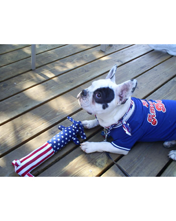 Supervise pooches in area dog parks as there might be debris from fireworks or even unexploded fireworks that they could risk getting into. Supervise pooches in area dog parks as there might be debris from fireworks or even unexploded fireworks that they could risk getting into.