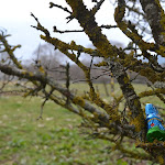 DSC_0020.JPG