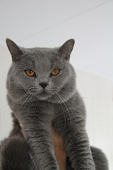hugo (papa Joep) (2) hugo (papa Joep) (2)