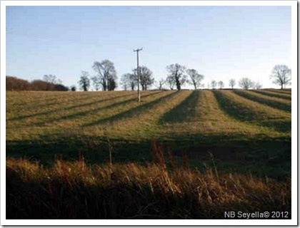 Ridge and furrow Dec 2008