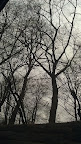 IMAG0338.jpg