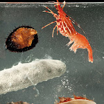 xl_modernist_cuisine_06.jpg
