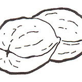 nueces2.jpg