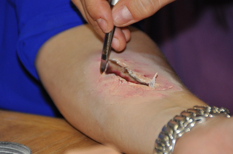 DSC_0385 DSC_0385