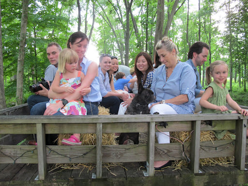 My turn G.K!  Now, if everyone will focus their attention on me - we're now deep in the Japanese maple grove.  Isn't it beautiful?