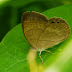 P1290895