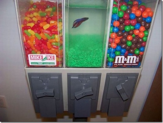 chobbler picdump 43