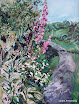 Path with Foxgloves