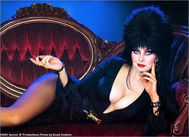 c0 Cassandra Peterson. Elvira, Mistress of the Dark