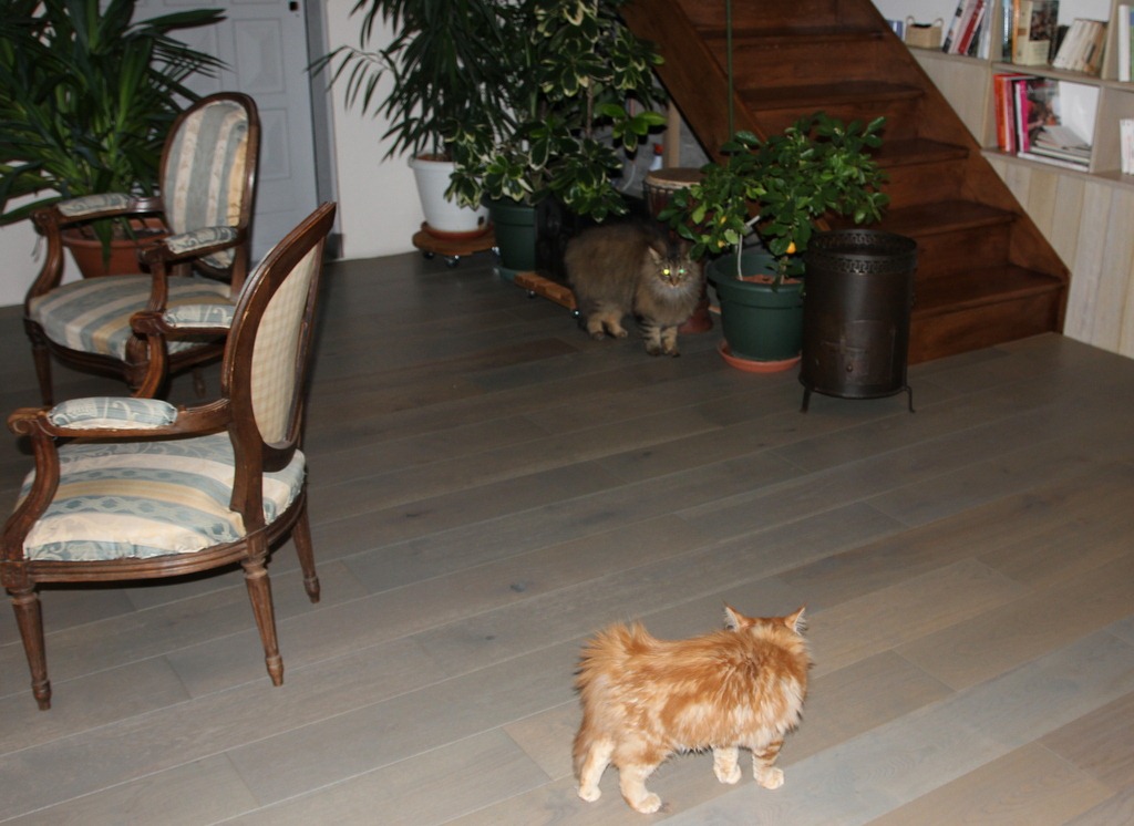 [IMG_0434%255B3%255D.jpg]