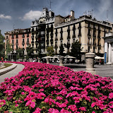 P6114207.JPG